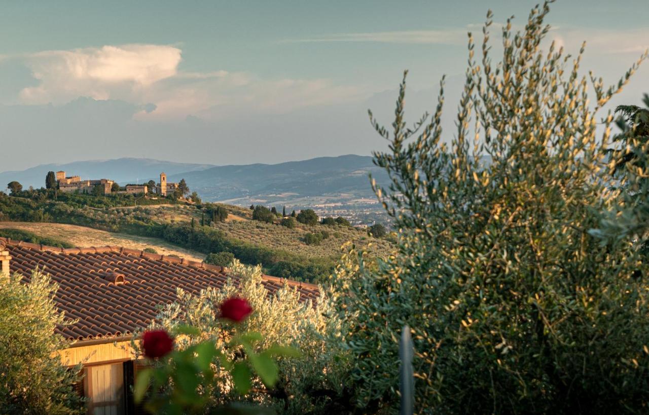 Agriturismo La Rocca Assisi Петриньяно Экстерьер фото