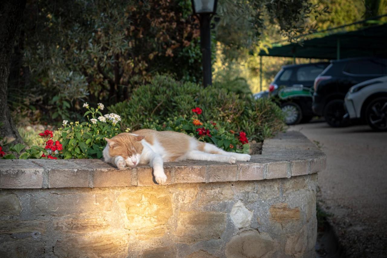 Agriturismo La Rocca Assisi Петриньяно Экстерьер фото